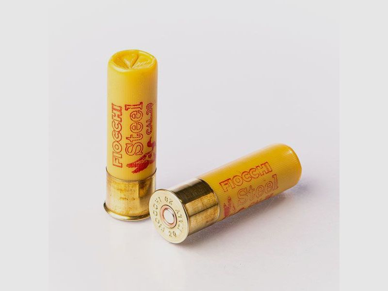 Munition Fiocchi Steel 24g No7/2.4mm 20/70