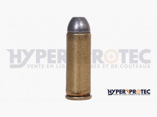 Cartridge Caliber 45 USA 1880