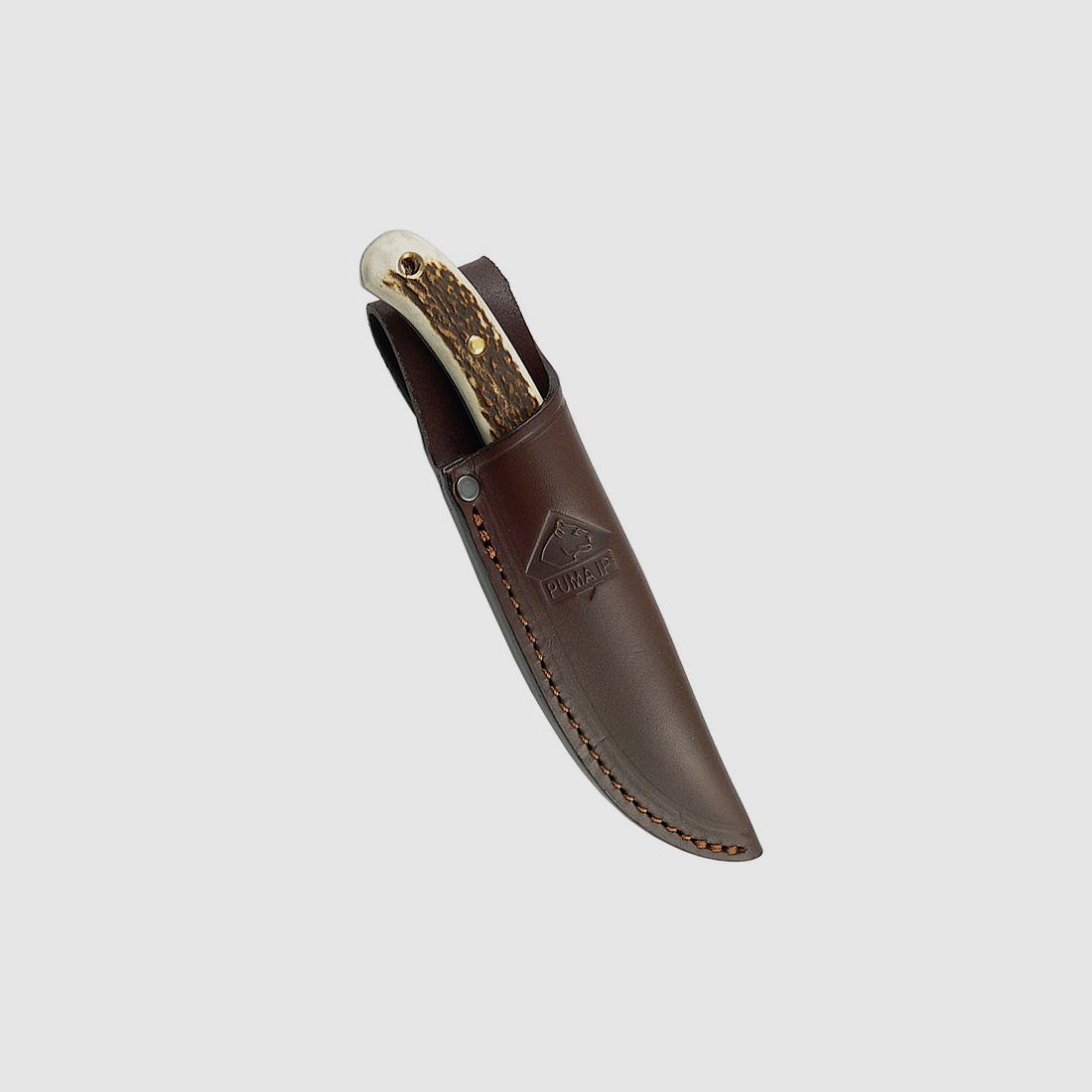 Jagdmesser Puma IP Catamount Stag, Stahl 440 C, Hirschhorn, Lederscheide (P18)