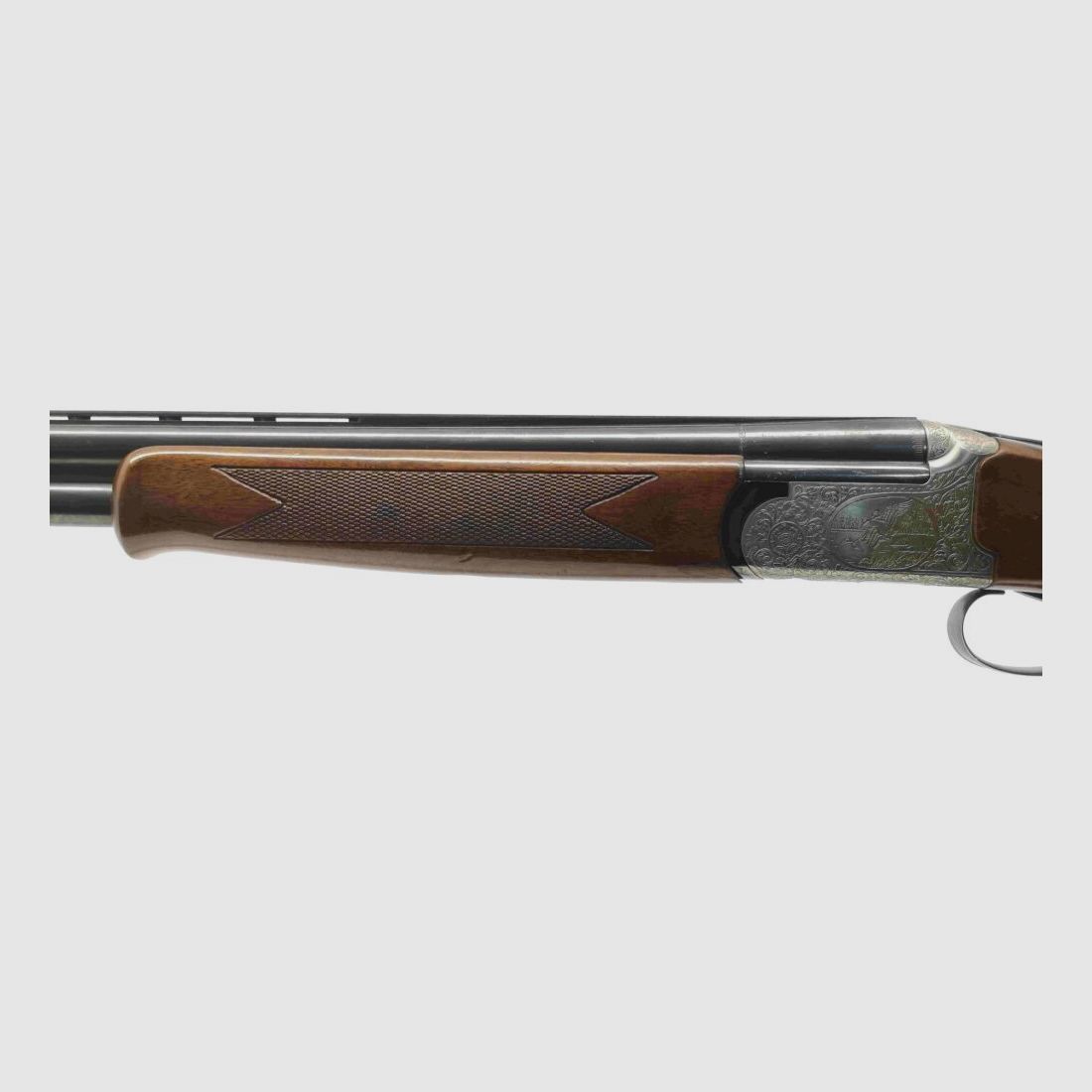 Kettner Campione
