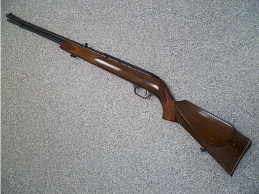 Selbsladebüchse Anschütz - Savage Modell 6P-M .22lr
