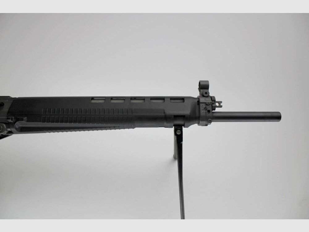 SIG SG 550 .223Rem