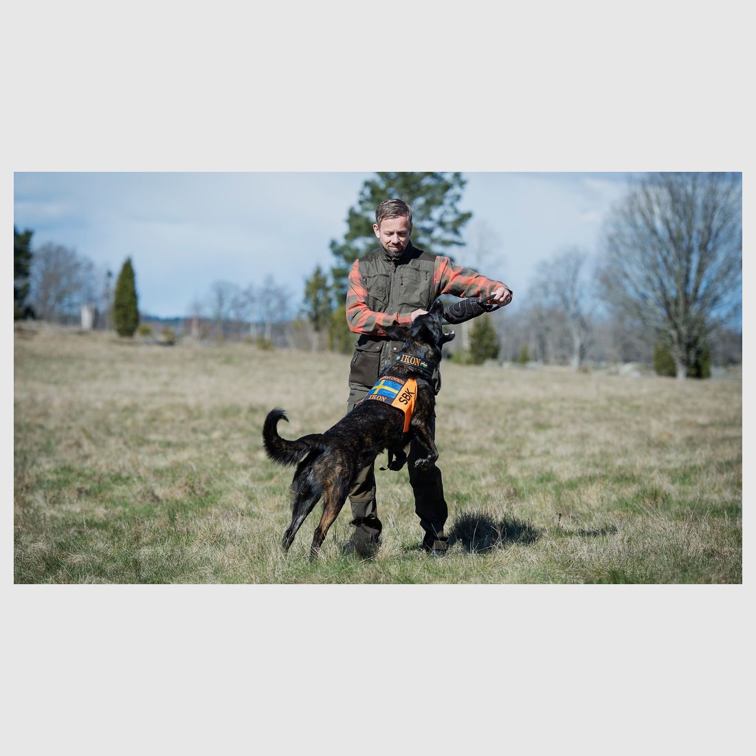 Pinewood New Dogsport Weste D.Anthrazit/Schwarz M