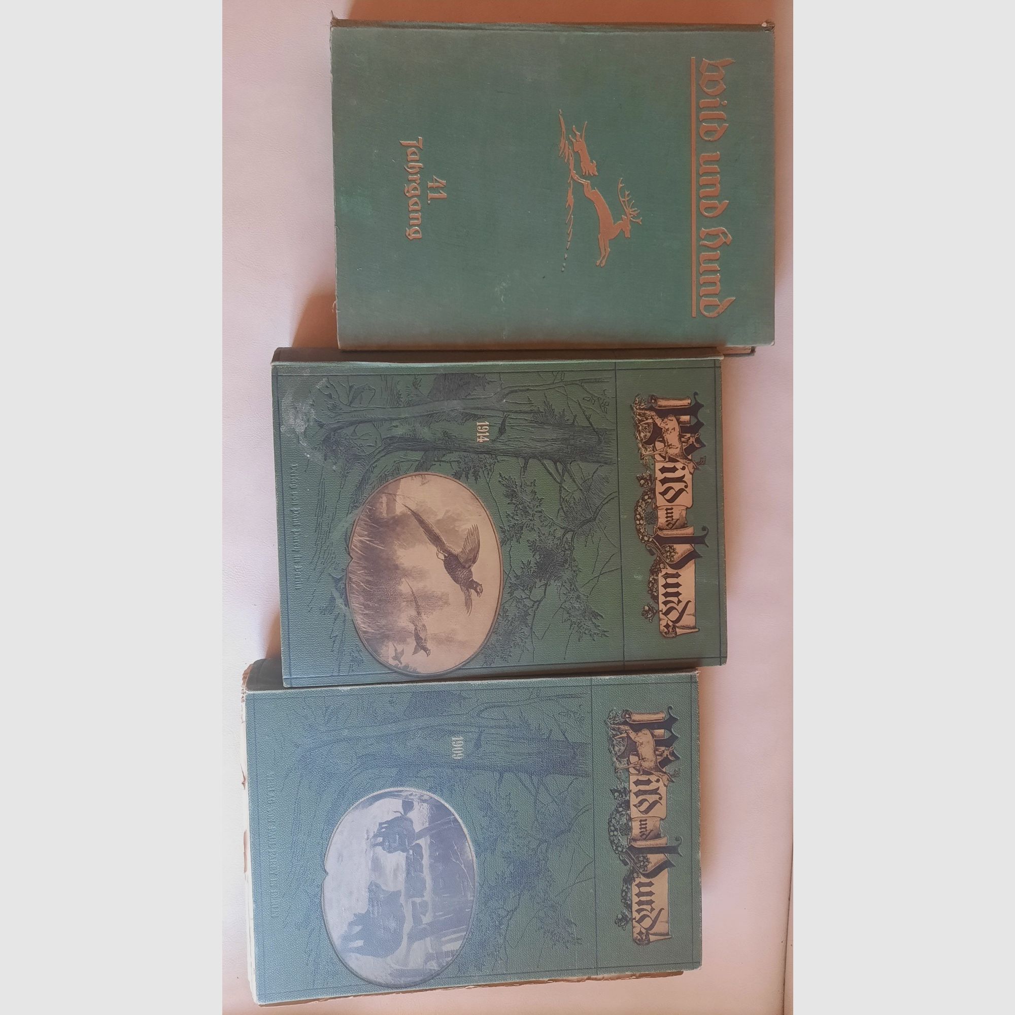 Livres annuels historiques originaux de Wild und Hund