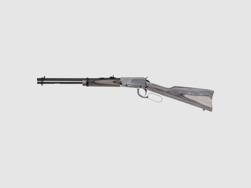 ROSSI RIO BRAVO GRIS 22LR, imagen 2 de 2
