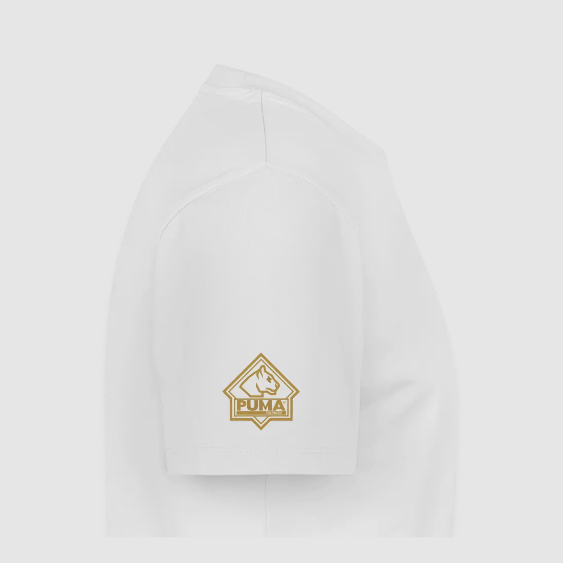 PUMA Men’s Premium T-Shirt "PUMA Heritage Logo Back"