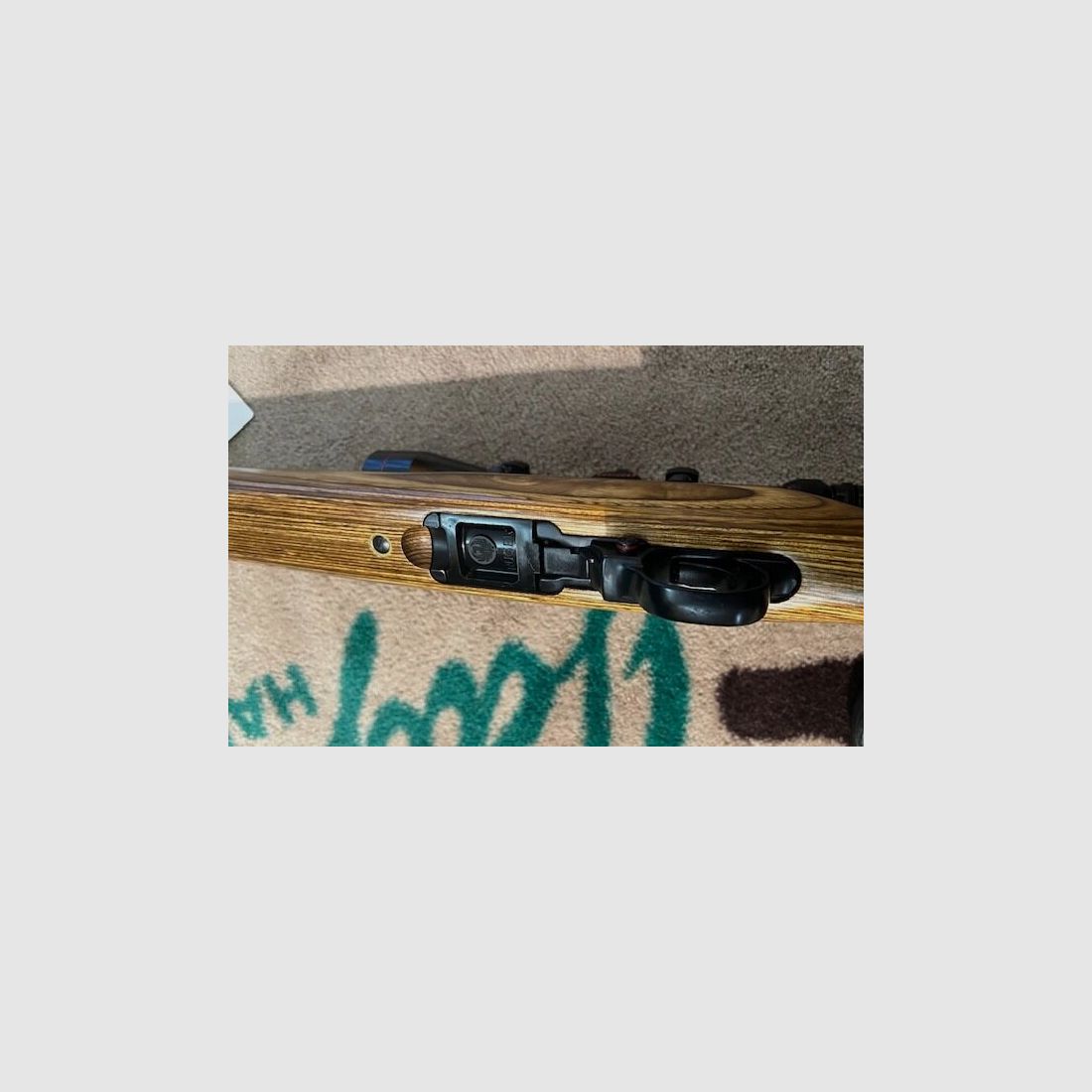 Kommissionen SL-Büchse RUGER 10/22 Hammer F