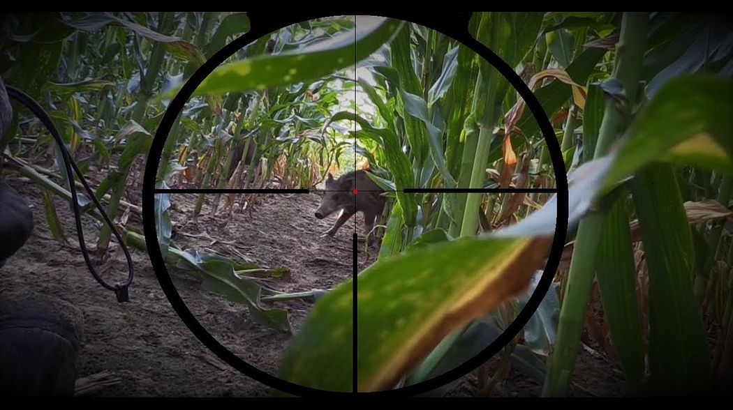 Jahresrückblick 2017 / review 2017 - Hunter Brothers