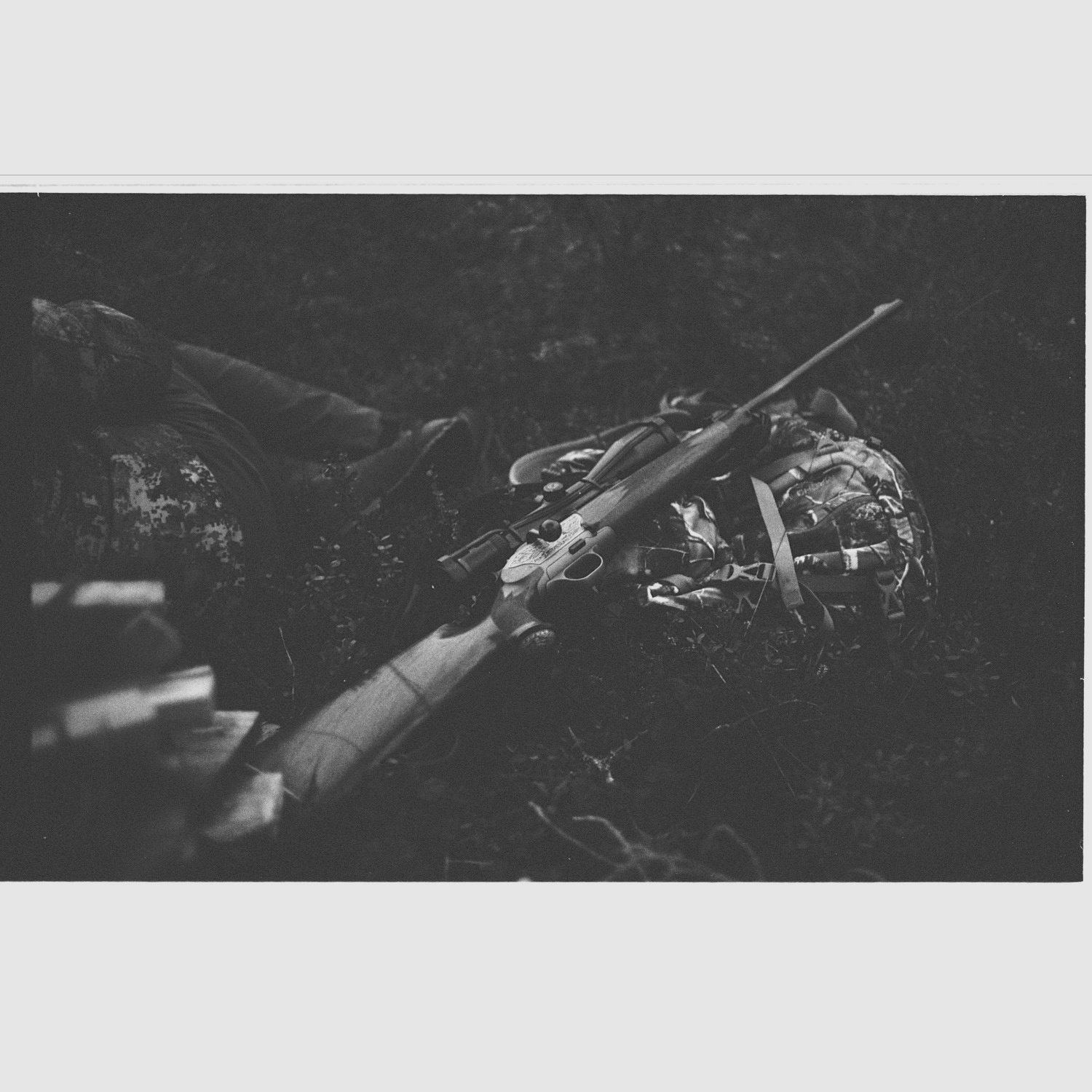 Blaser R8 Luxus Sondergravur – 10,3x60R – Zeiss Victory HT 3-12x56