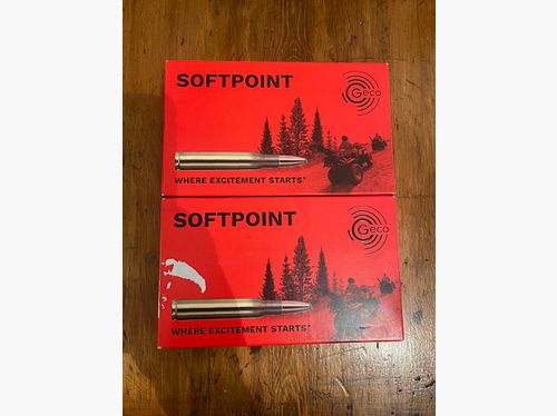 Geco .30-06 Spr. Softpoint Teilmantel 11,0g/170grs.