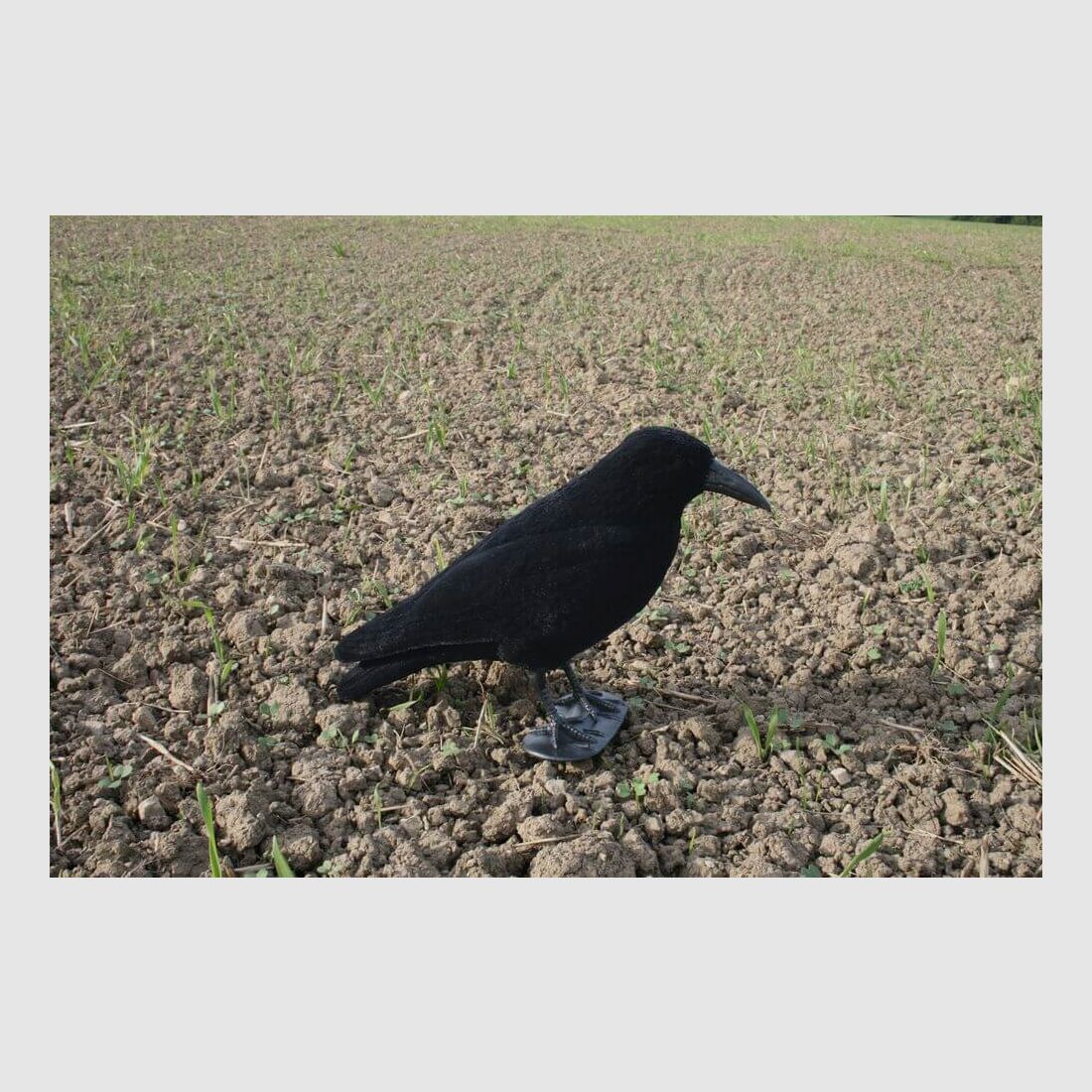 Plastic lock crow - flocked
