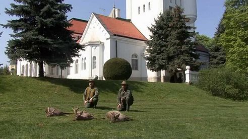 Best of hunting roebuck in Vojvodina