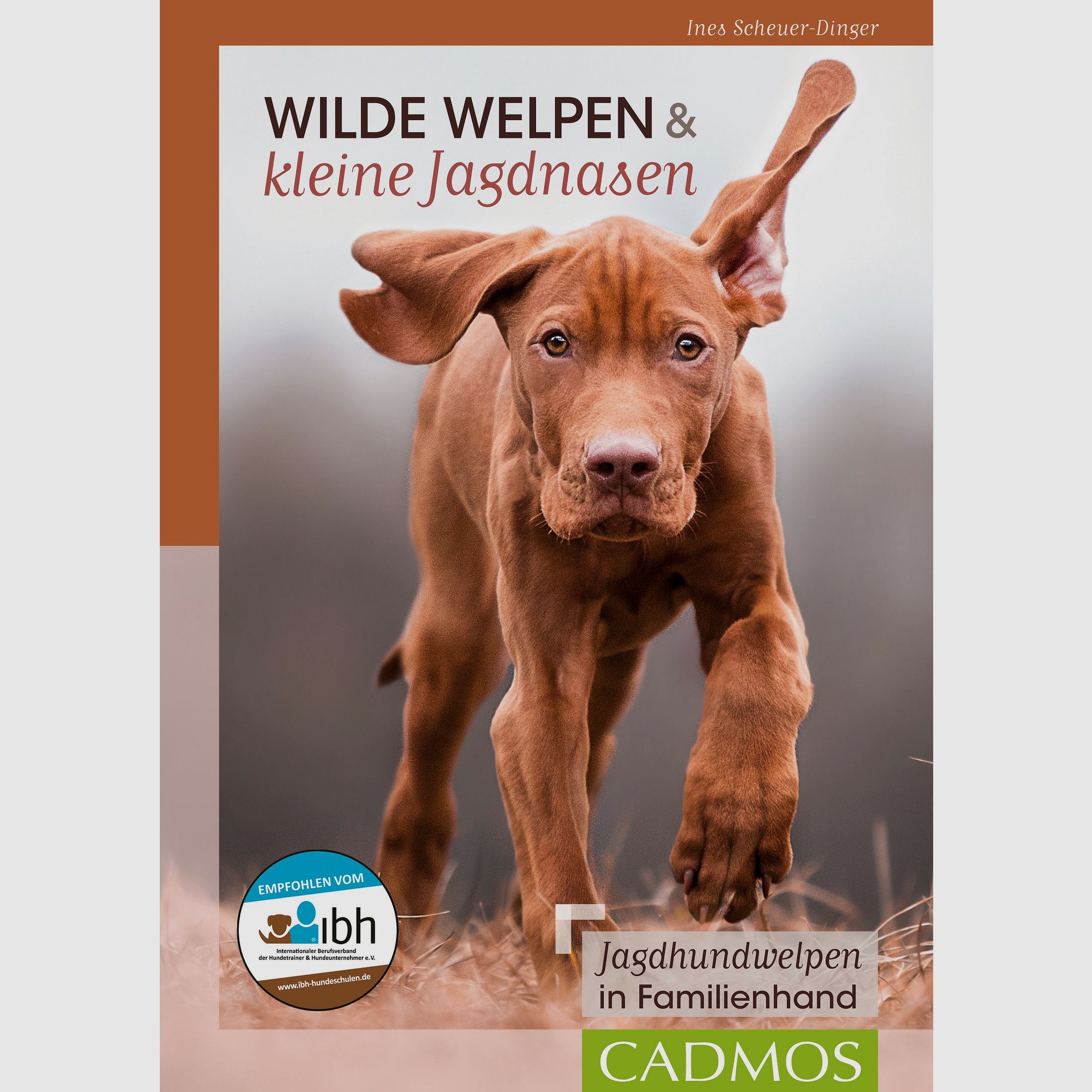 Wilde Welpen & kleine Jagdnasen