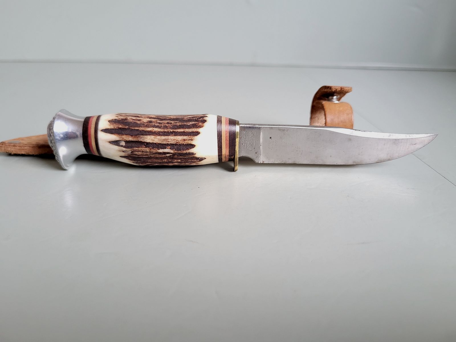 Coltelli da caccia vintage - Solingen - Corno di cervo - Pomolo a forma di uccello - Germania occidentale