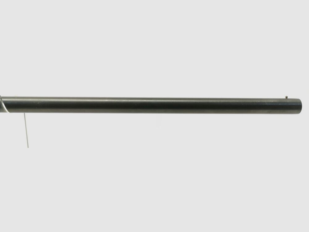 Hubertus Boito Reúna, Bild 10 von 10