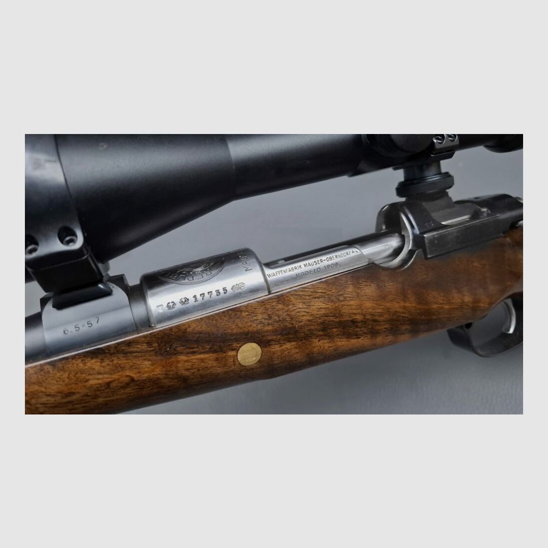 DWM Custom Mauser 98 Repetier