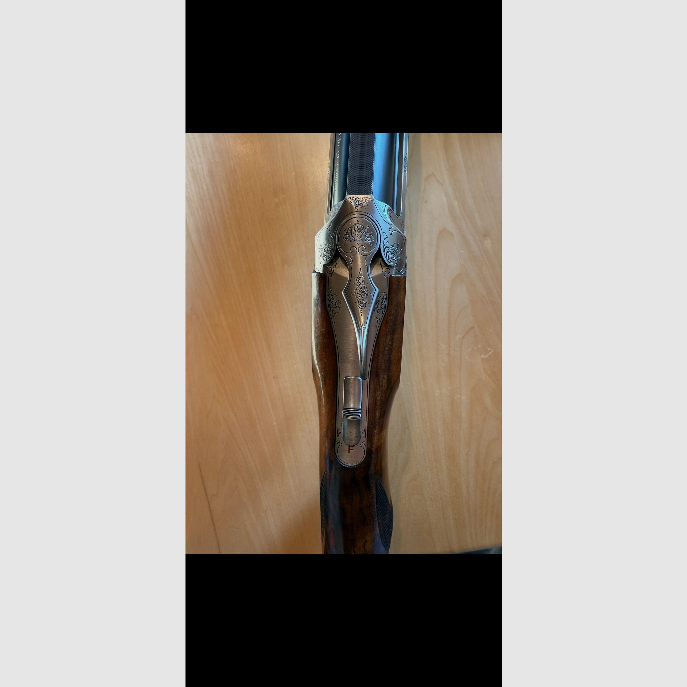 Blaser F3 
