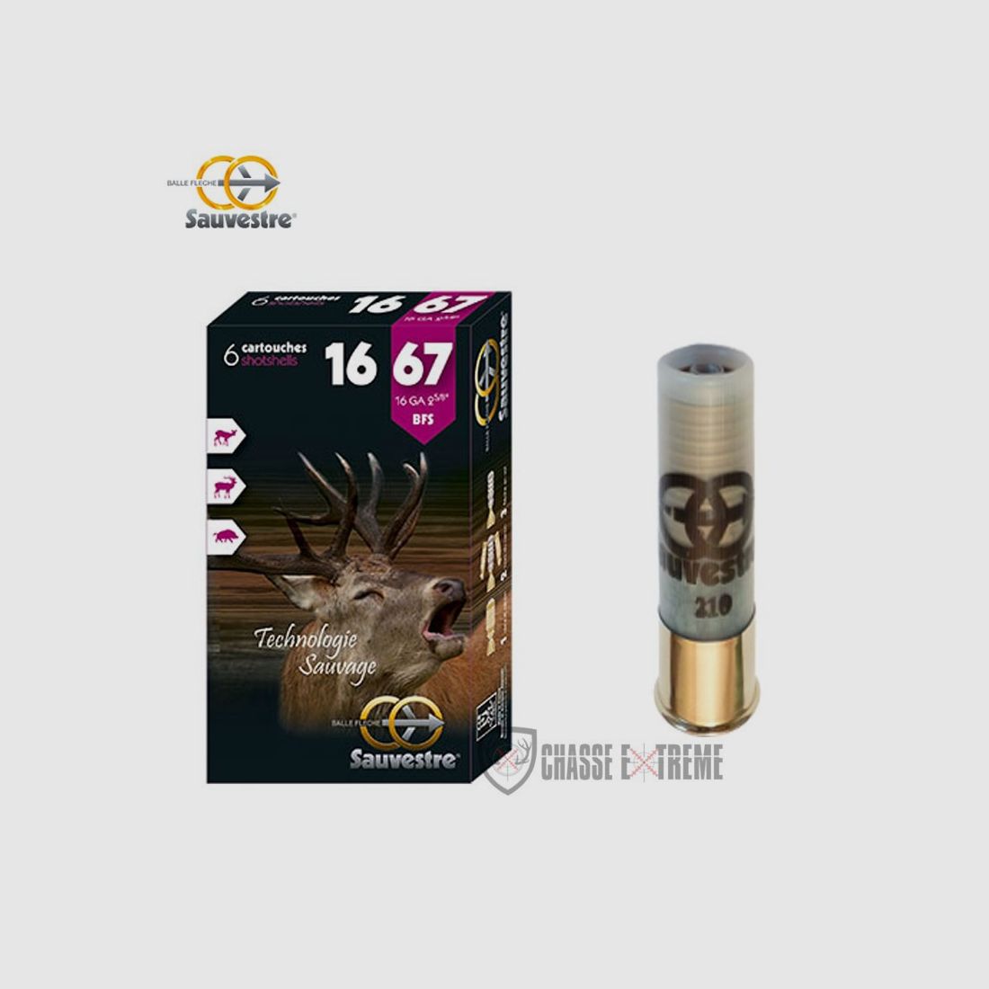 6 Cartouches SAUVESTRE BFS Cal 16/67, image 1 sur 2