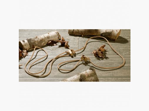 the Lake Passion Silent Leash |