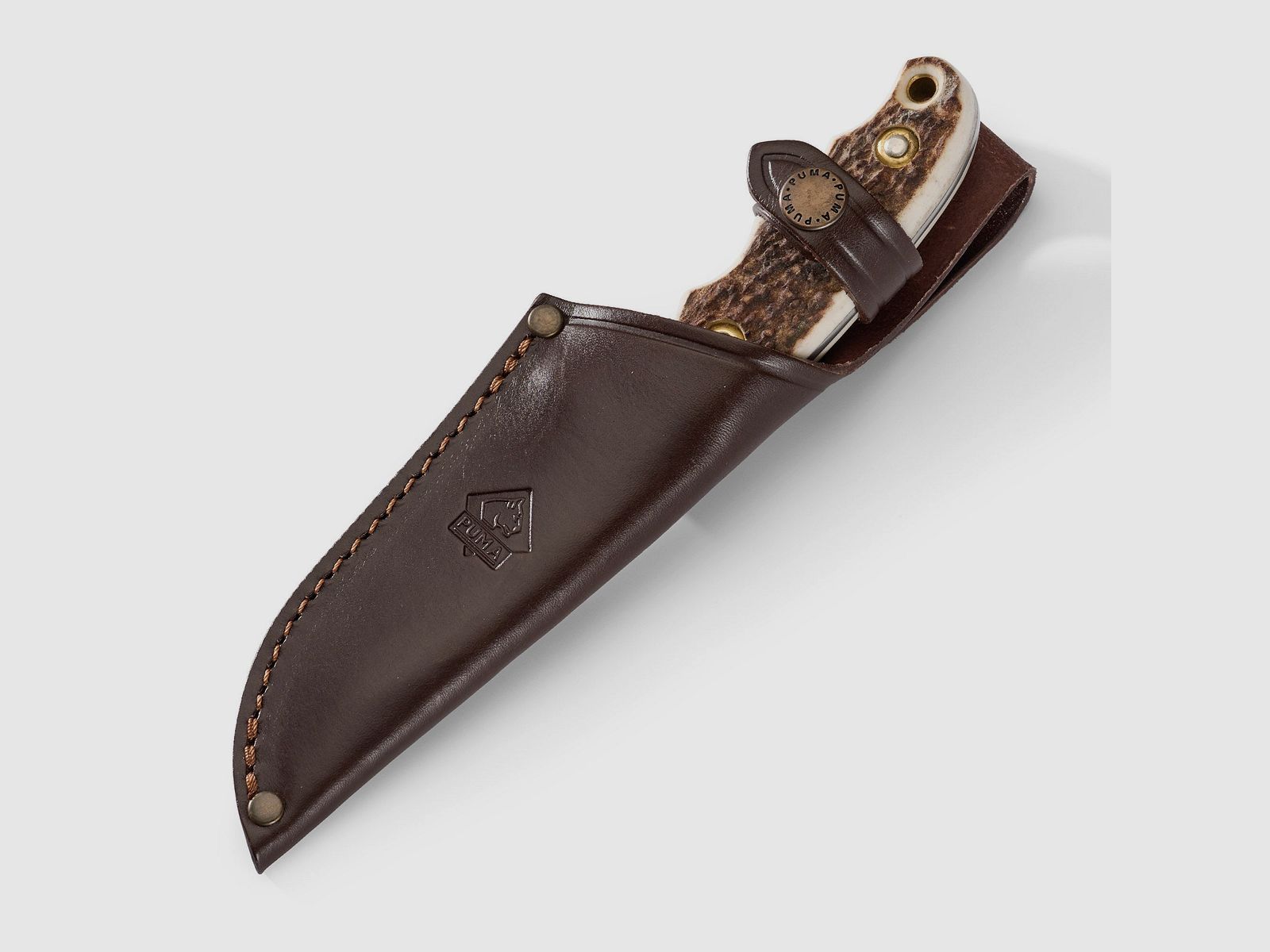 PUMA saubart, Hirschhorn