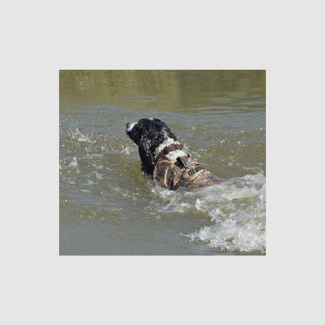 Schwimmweste Canihunt Neopro V2, Bild 5 von 16