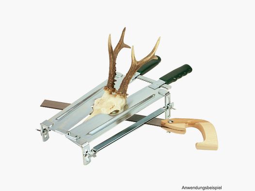Fritzmann horn saw