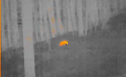 Wärmebildkamera FLIR Scout TK - TEST (Dachs)