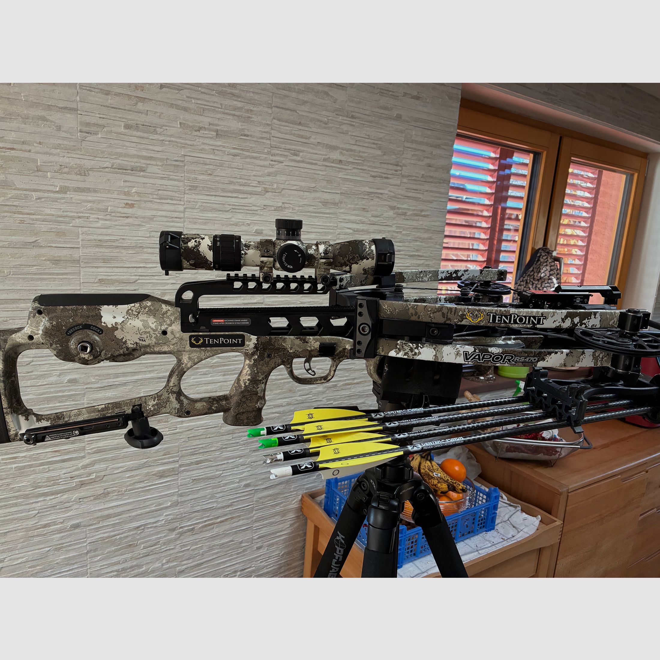 <TEN POINT Armbrust Vaper RS 470 EVO - X VCeil Alpine>