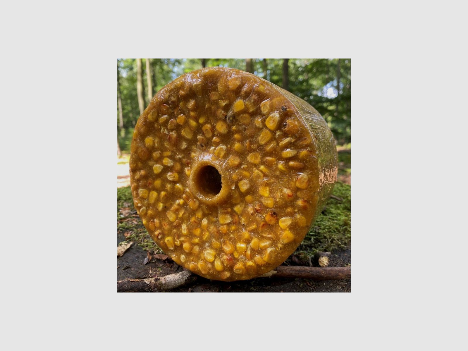 WILDLUTSCHER Piedra Lick Especial "Maíz Dulce"