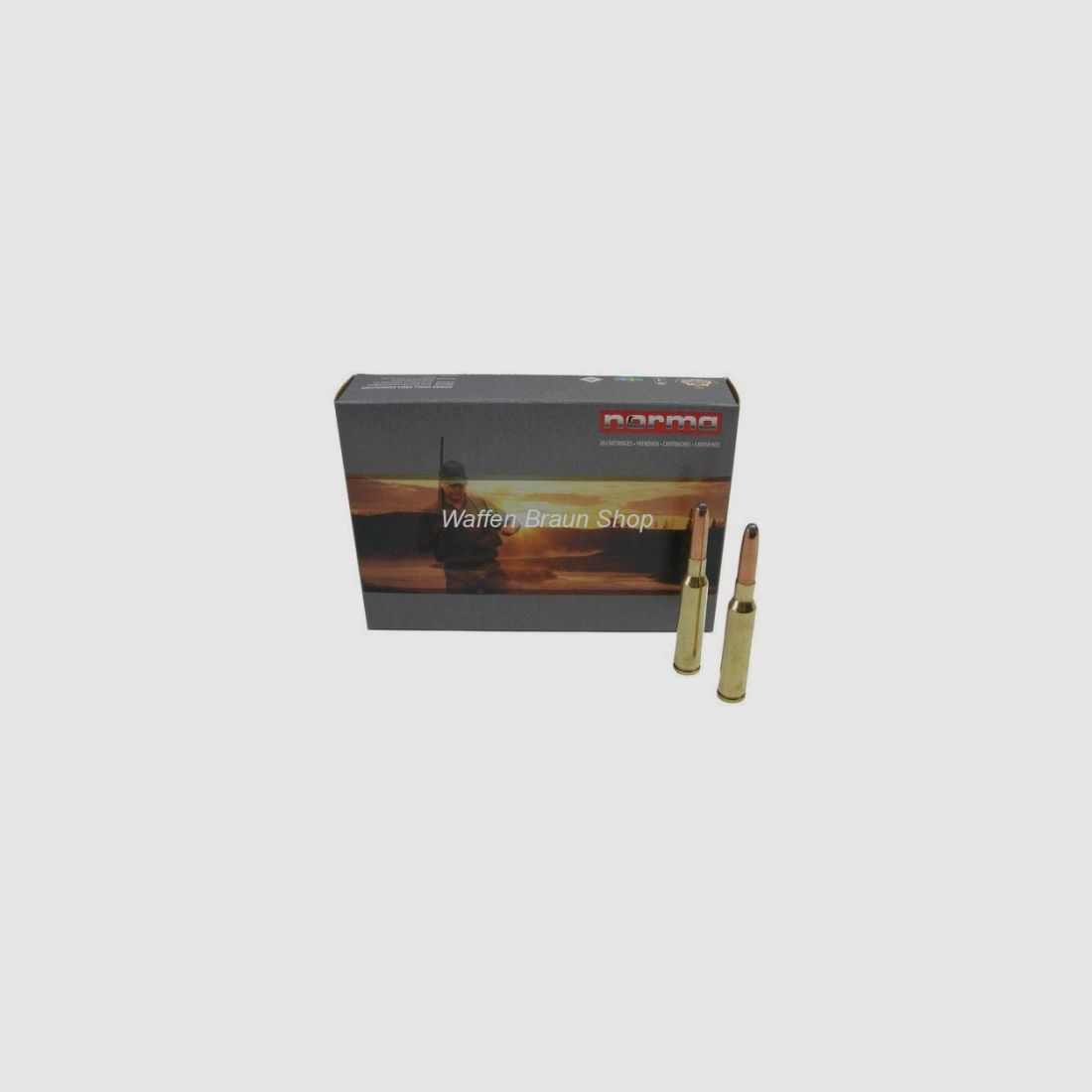 NORMA 6,5 CARCANO ALASKA 10,1G 156GR 20 Stück
