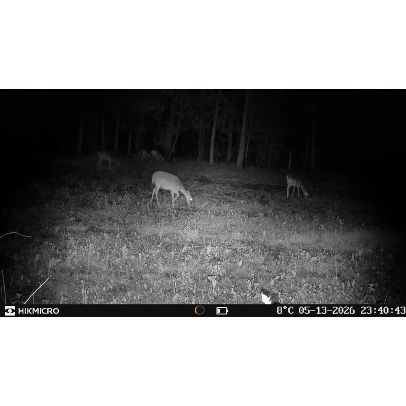 Hikmicro Wildkamera T16, Bild 11 von 13