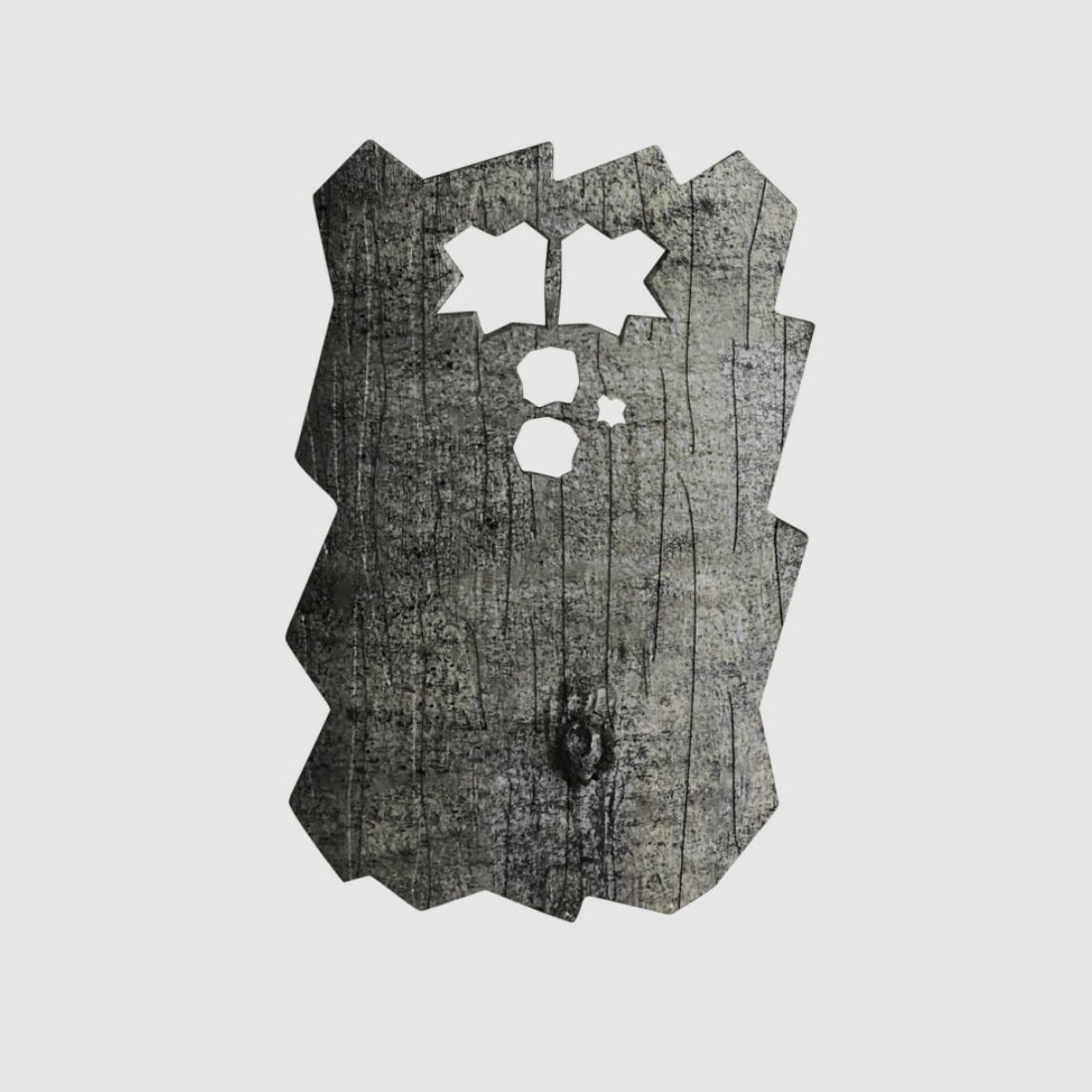 Minox Frontblende 80408098 Buche DTC 460