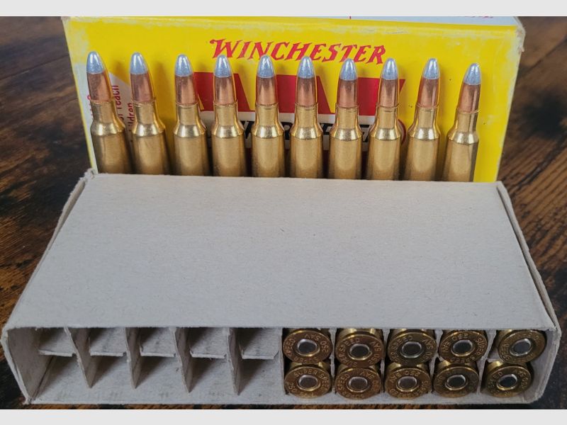 Munition Konvolut 250 Savage 100gr.