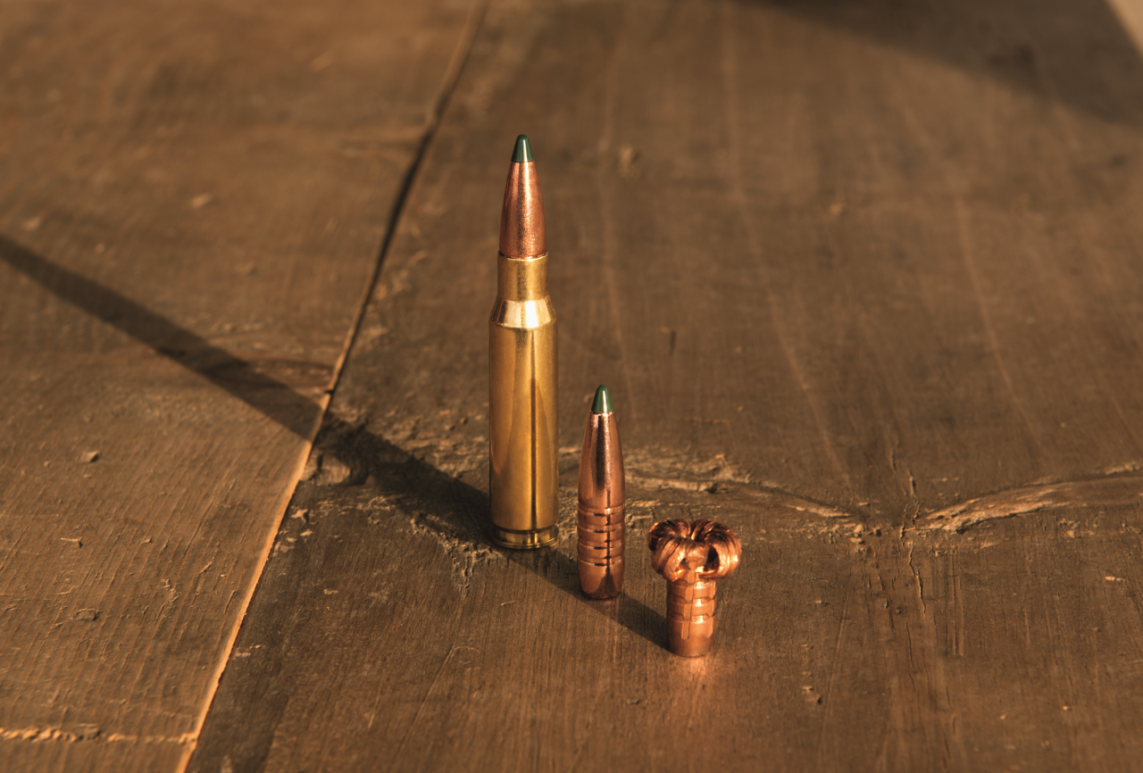 Blaser – Munizione / 8x68S / 170gr / 11.0g / CDC / Senza piombo / 20 pz., immagine 2 di 4
