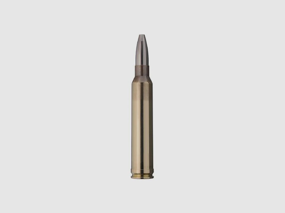 RWS .300 Win Mag Cineshot 147grs 9,5g - 50 colpi, immagine 2 di 2