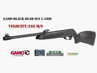 Gamo Black Bear IGT 5,5 mm