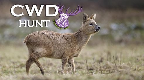 THE CHINESE WATER DEER HUNT