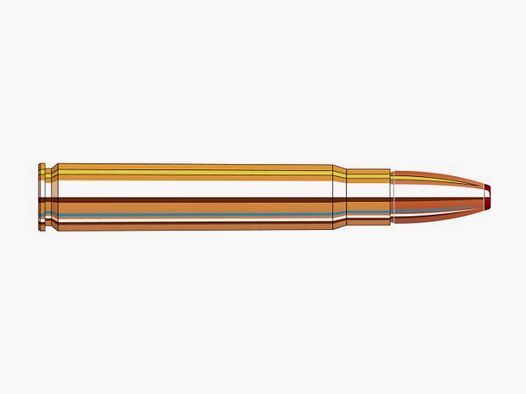 HORNADY 9,3X62 ECX BLYFRI 250GR