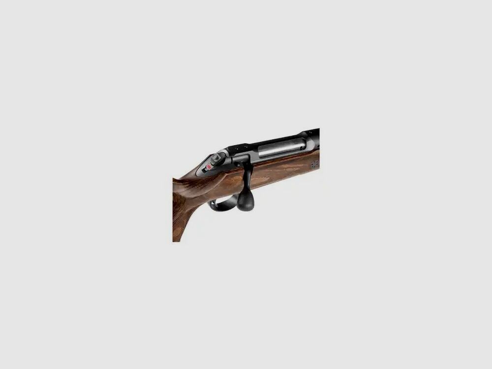 J. P. Sauer & Sohn	 Sauer S101 Silence GTI mit Integralschalldämpfer LL= 42cm - .308 Win.