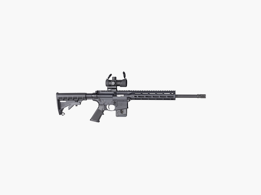 S&W halbautomatische Büchse M&P 15-22 Sport .22 LR Schwarz mit Red Dot Sight