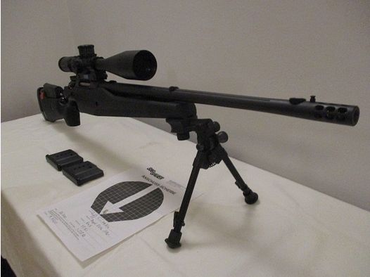 Sig Sauer SSG 3000 Target .308 Win
