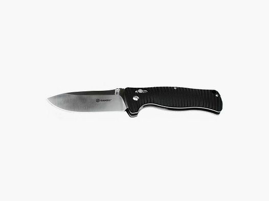 Folding Knives Firebird F720-BK Ganzo