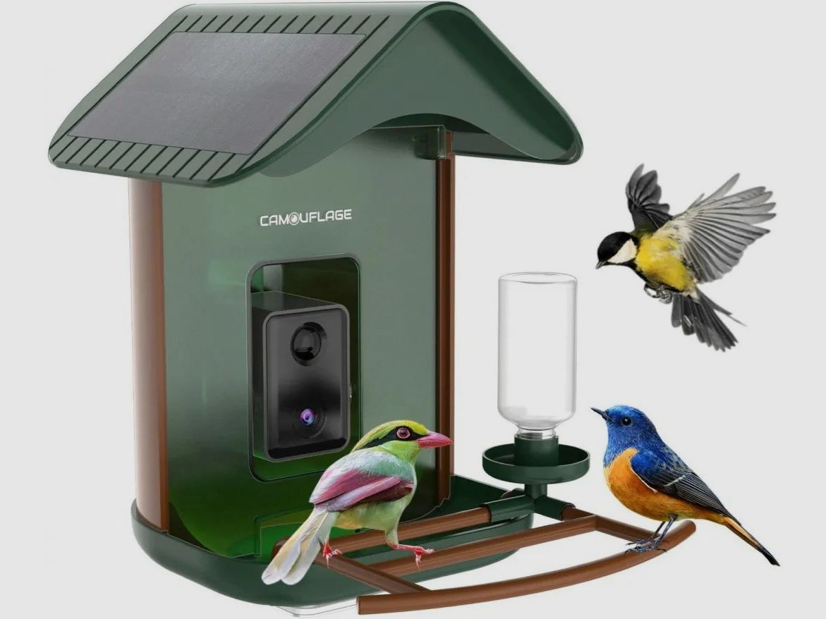 Camouflage EZ BirdFeed 1