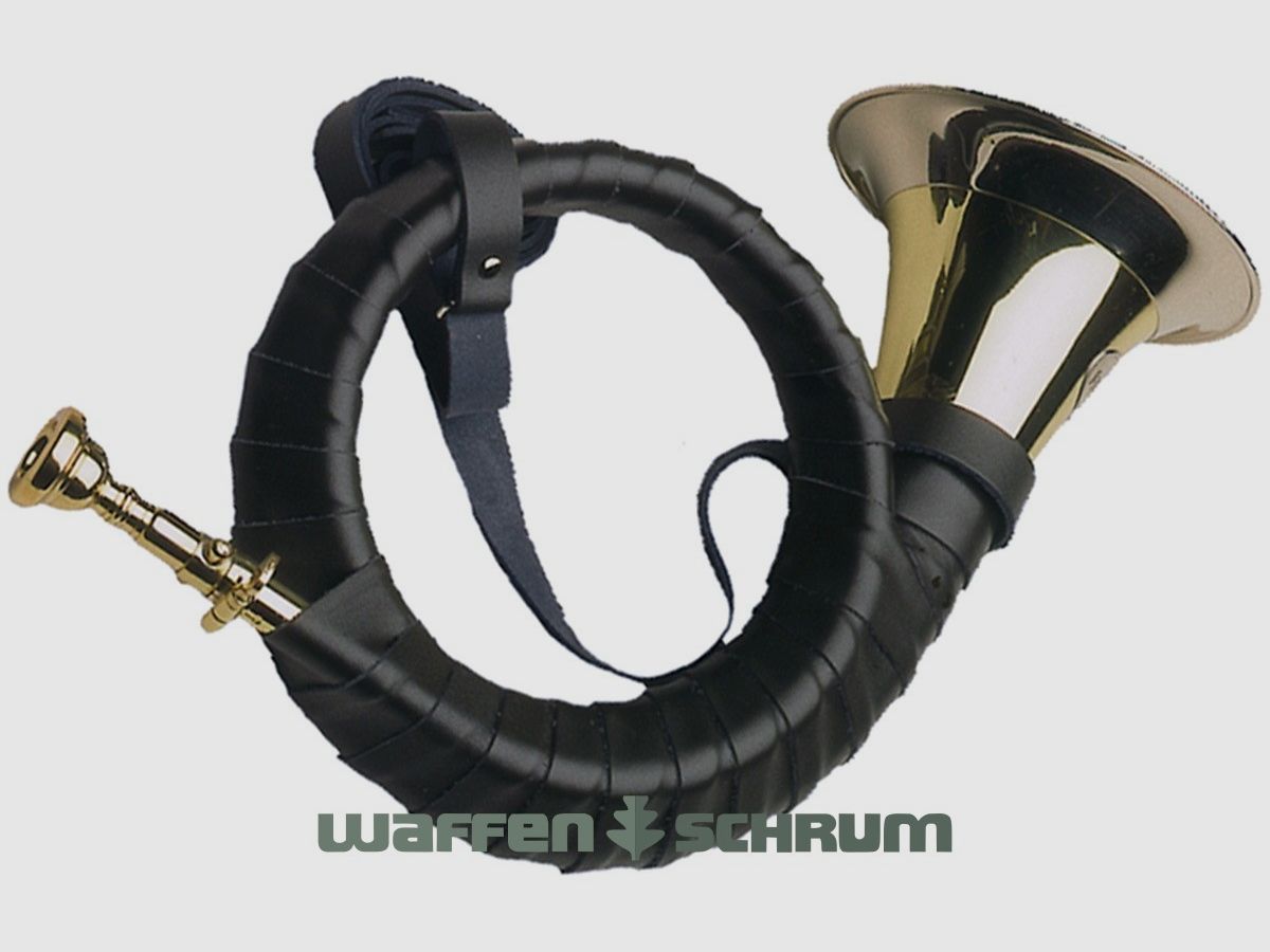 Dotzauer Fürst-Plesshorn B 2-windig Rivestimento in smalto - Accordatura - Bocchino Avvolgimento Verde - Cinghia in pelle