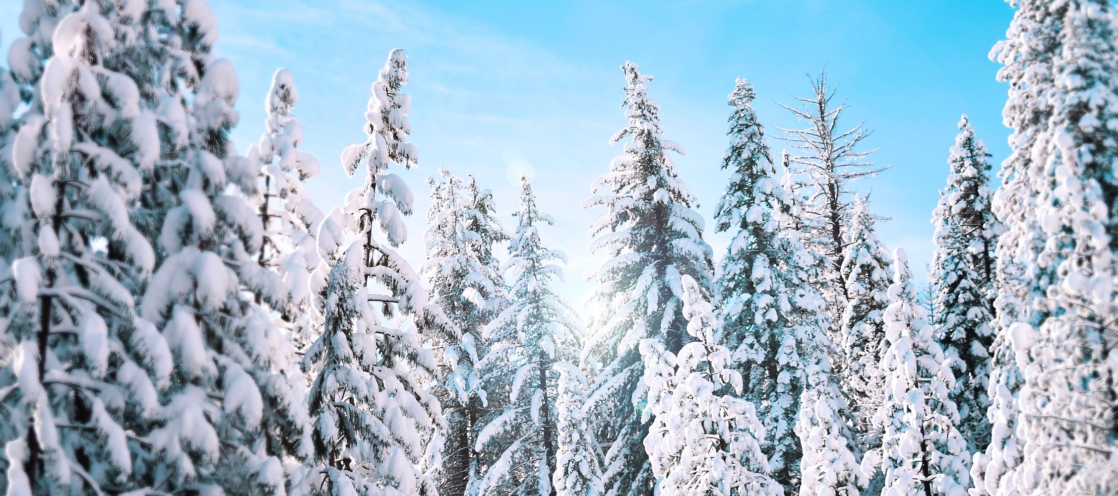 Die beste Ausrüstung für die Winterjagd