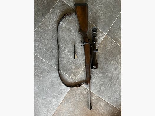 Mauser M12 