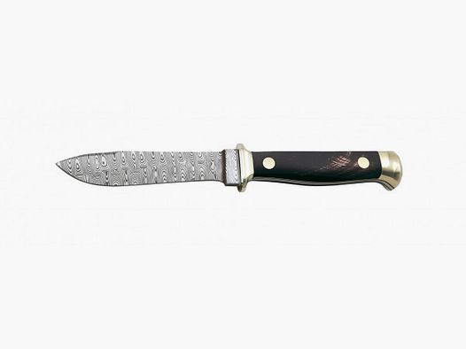 PUMA annual knife 2025 buffalo horn