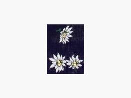 Luise Steiner bandana edelweiss blu scuro
