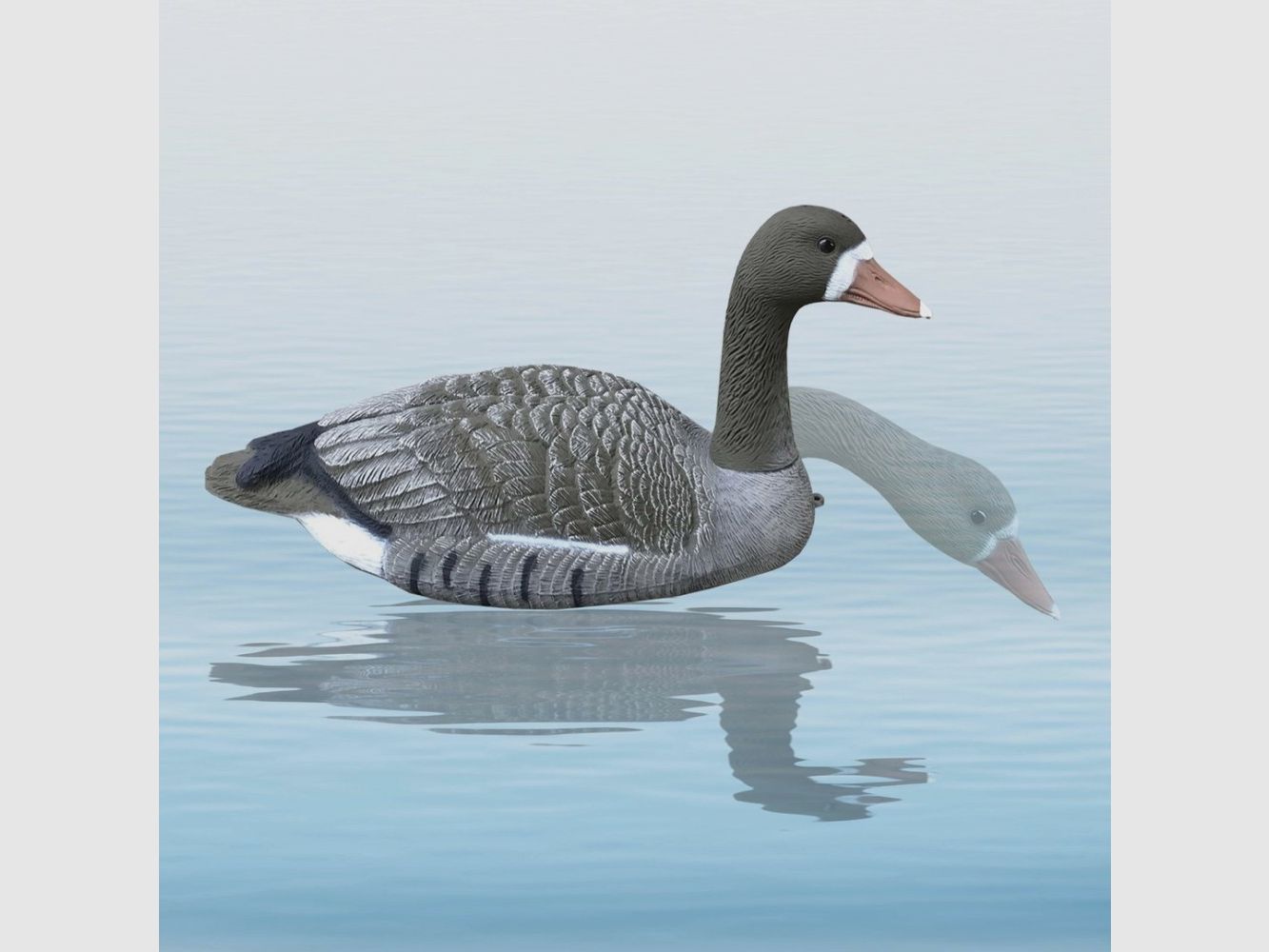 Oca lombardella 62 CM Sport Plast