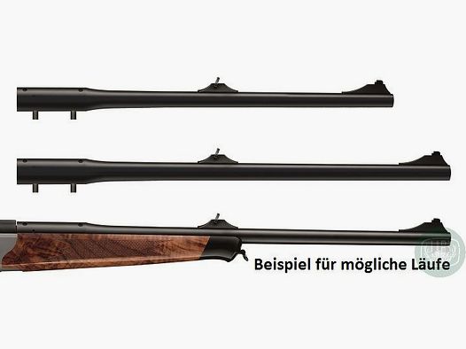 Blaser WL R8 Caccia Match MG 18x1 60 cm 6,5 Creedmoor Canne Intercambiabili